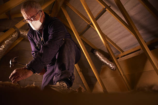 Best Insulation Contractors for Homes  in Wayne Heights, PA